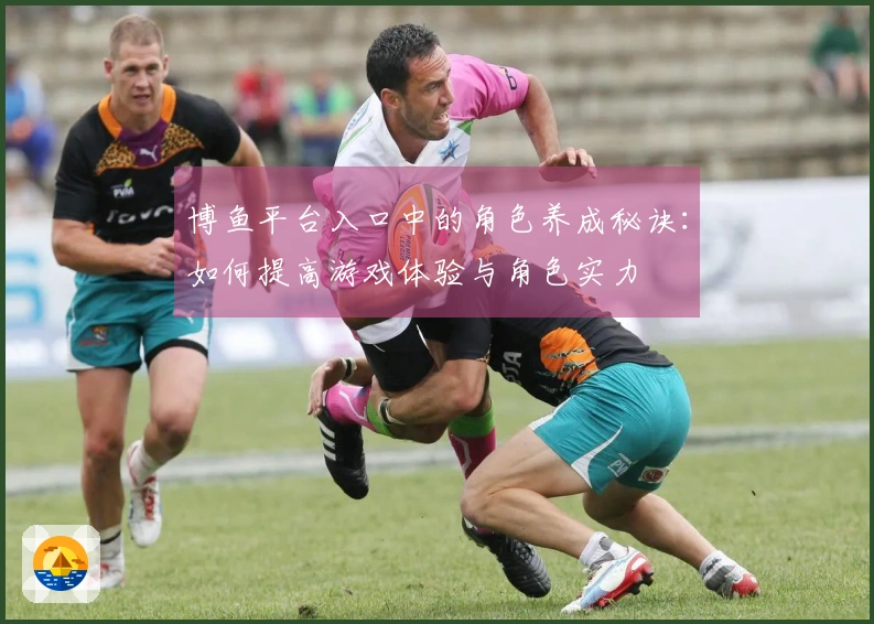 博鱼平台入口中的角色养成秘诀：如何提高游戏体验与角色实力